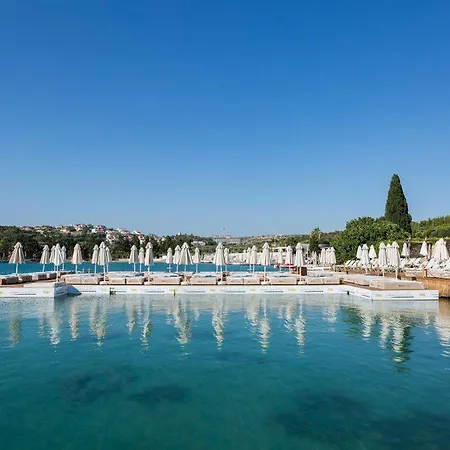 Ayayorgi By T Çeşme