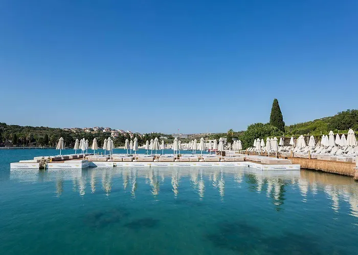 Ayayorgi By T Çeşme